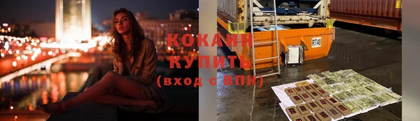 шишки Володарск