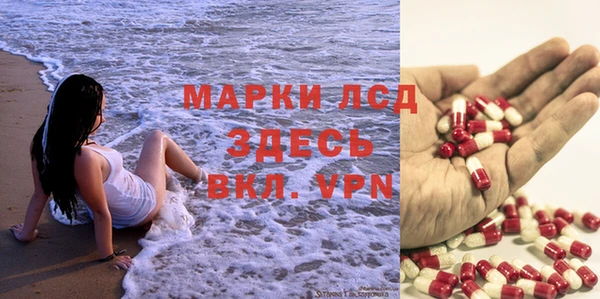 ECSTASY Бородино