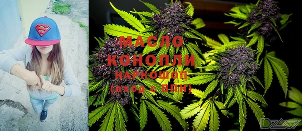 spice Богородск