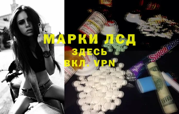 ECSTASY Бородино