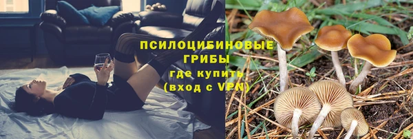 гашик Михайловск