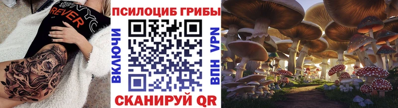 Псилоцибиновые грибы MAGIC MUSHROOMS  Иннополис 